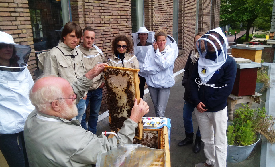 Follow the natural (city-) beekeeping training for beginners!