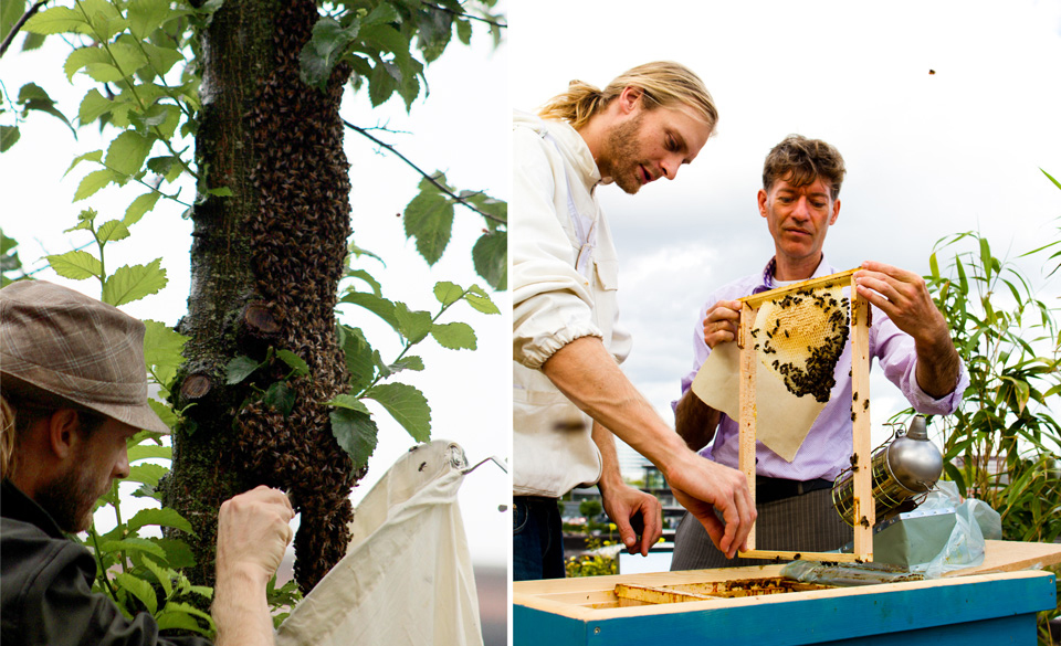 Natural Bee Keepers Course
